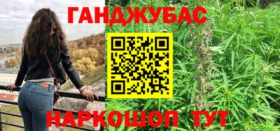 сатива Будённовск