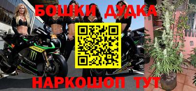 сатива Будённовск