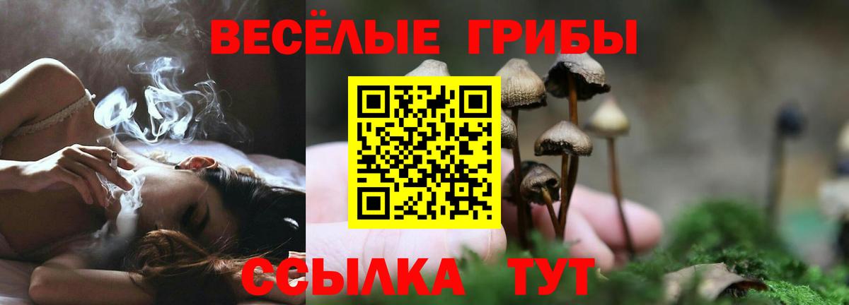 Галлюциногенные грибы Cubensis Кстово